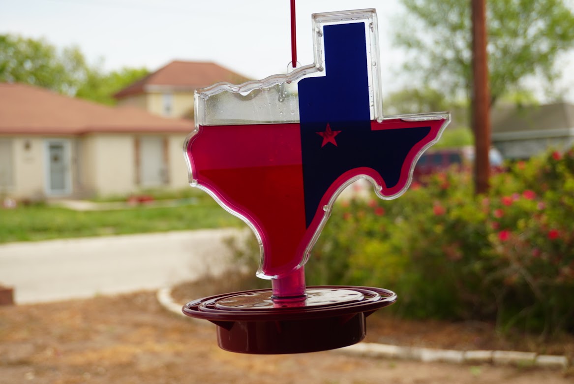 Texas Shaped Hummingbird Feeder